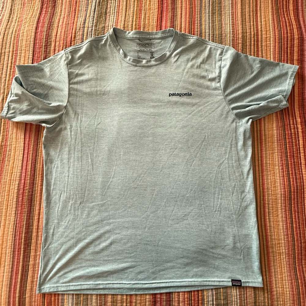 Men's size Large Patagonia Capilene Cool Daily Performance Tshirt